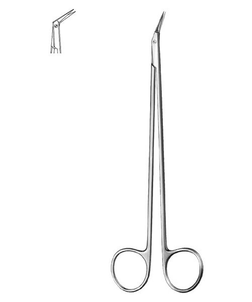 product_img1